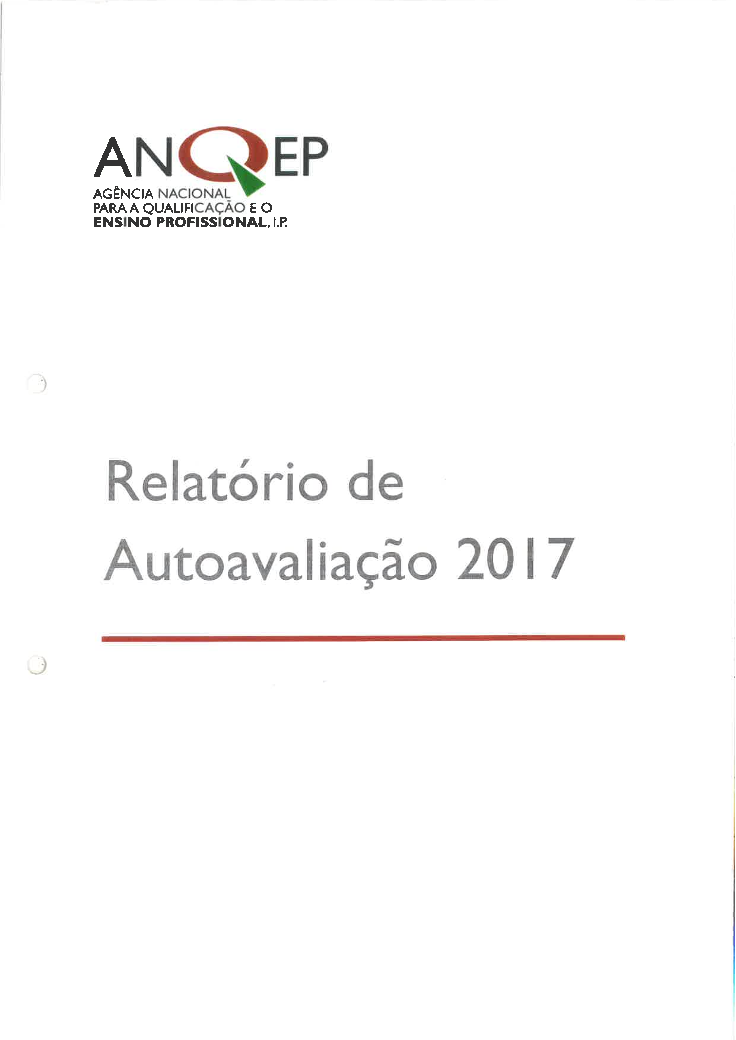 Relatório de Autoavaliação 2017