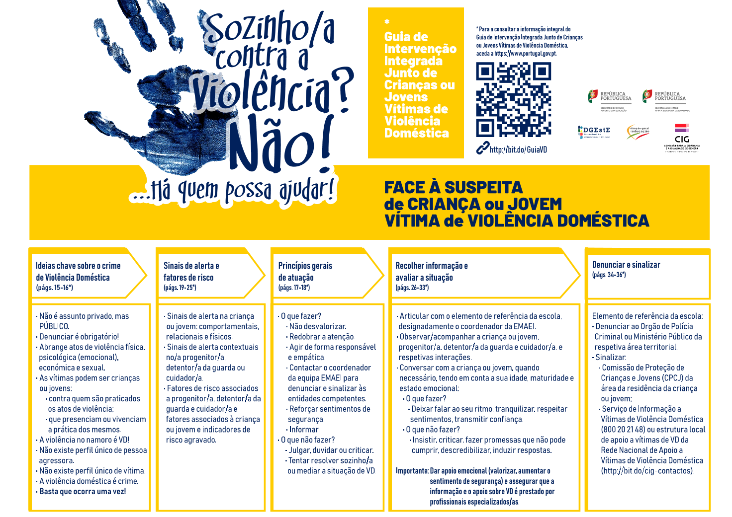 Guia de Intervenção Integrada Junto de Crianças e Jovens Vítimas de Violência Doméstica - flyer de divulgação